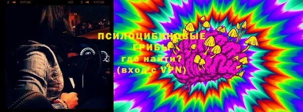 трава Арсеньев