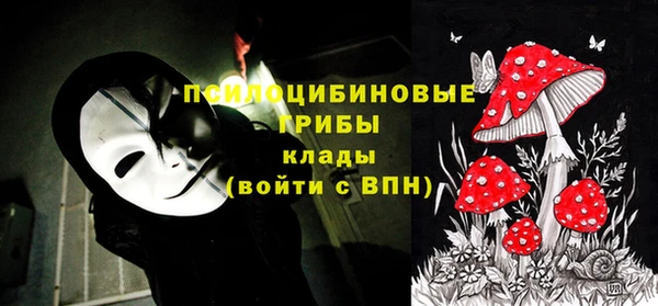 трава Арсеньев