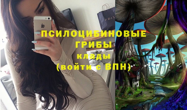 крисы Переславль-Залесский