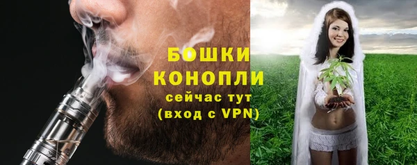 трава Арсеньев
