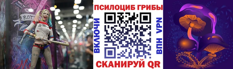 Галлюциногенные грибы Cubensis  Похвистнево 